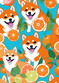 Smiling Shiba Inu h0mLn