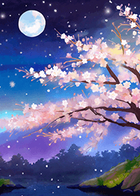 Beautiful night cherry blossoms#1329