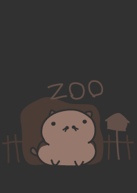 zoo - staring
