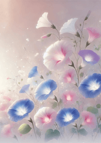 Morning Glory 013