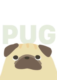Big Pug