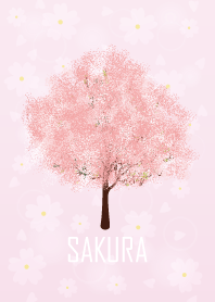 a shower of falling cherry blossoms 2.