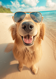 ゴールデンレトリバー×海