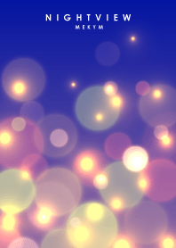 NIGHT VIEW-LIGHT- 13