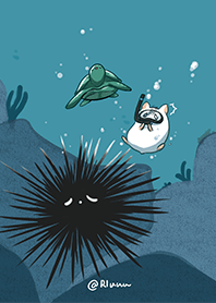 Ocean Series | sea urchin