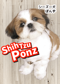 Shih Tzu Ponz Theme