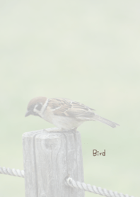 Bird Theme ver.Japan 1