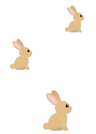 Cute Rabbit 3 -W-