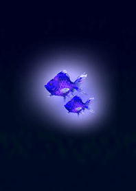 闇夜のミニ金魚紫色2