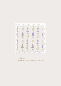 Window Grilles :: lavender