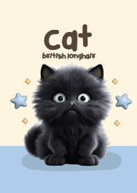Cat Black Cute : British longhair