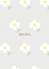 White flowers and leaves pretty14