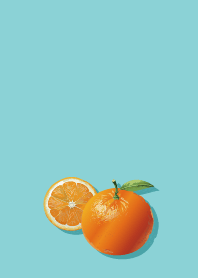 A stylish dull orange color