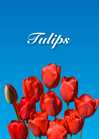 "Tulips 2" theme