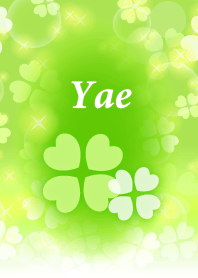Yae-Name- Clover