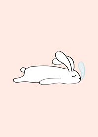 부드러운 귀여운 토끼