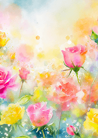 Beautiful rose flower(R5528)