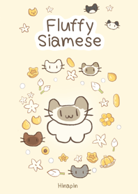 Fluffy Siamese