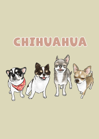 chihuahua3 - goldenrod