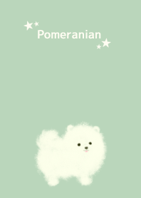 Fluffy Pomeranian