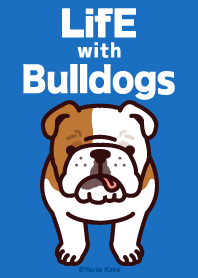 Life with bulldogs
