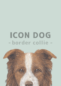 ICON DOG - Border Collie - PASTEL GR/06