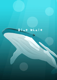 Blue Whale シロナガスクジラ