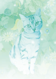 Garden and Cat #illustration (F)