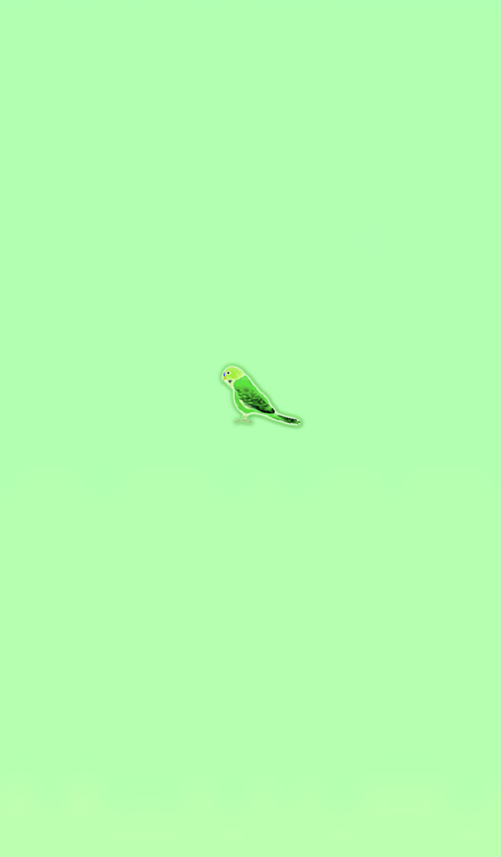 Simple lucky parakeet 1
