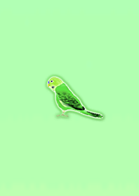 Simple lucky parakeet 1