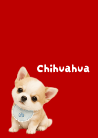 I love Chihuahuas03 red & beige
