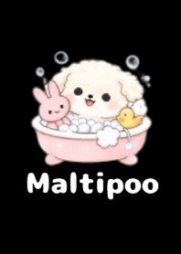 柔軟馬爾泰迪主題3 B-W 05