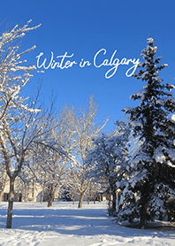 Winter in Calgary (22)