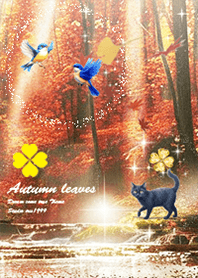 Lucky Bluebird and Black Cat