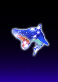 Shining Shark Deep Blue