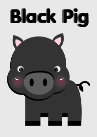 Cute Black Pig Theme