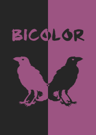 バイカラー [カラス] 紫×黒 170