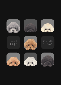 DOGS -トイプードル - ブラック/グレー