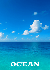 OCEAN THEME 56