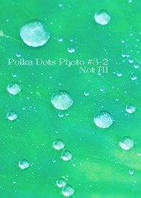 Polka Dots Photo#3-2 Not AI