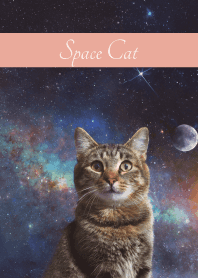 Space Cat2 on pink & blue