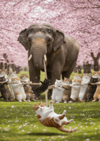 Cats and Elephant Playing Tug-of-War