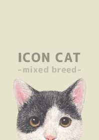 ICON CAT -Mixed breed cat- PASTEL YE/11