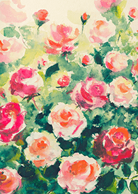 Beautiful rose flower(R4621)