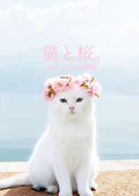 Cat and Sakura. -CAT and SAKURA- 3