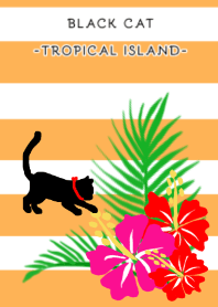 BLACK CAT -TROPICAL ISLAND-