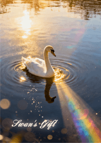 A swan gift