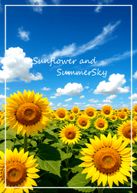 ＊夏の空とひまわり畑＊