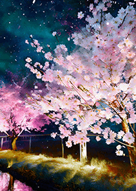 Beautiful night cherry blossoms#1431