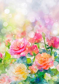 Beautiful rose flower(R2636)